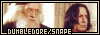  Relationships: Dumbledore and Snape
