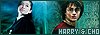  Relationships: Cho and Harry