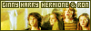  Relationships: Ginny, Harry, Hermione and Ron