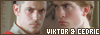  Relationships: Cedric and Viktor