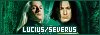  Relationships: Lucius and Severus
