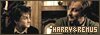  Relationships: Harry and Remus