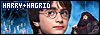  Relationships: Hagrid and Harry