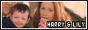  Relationships: Harry and Lily